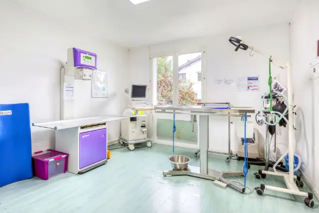Clinique vétérinaire Argos Saint-Aubin-de-Médoc, photo 1