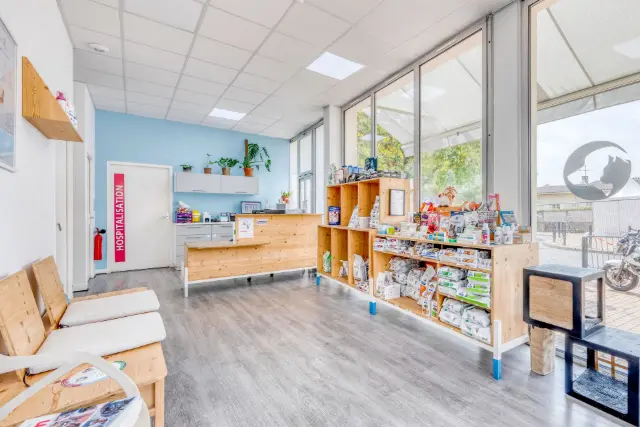 Clinique vétérinaire Argos Bègles, photo 2