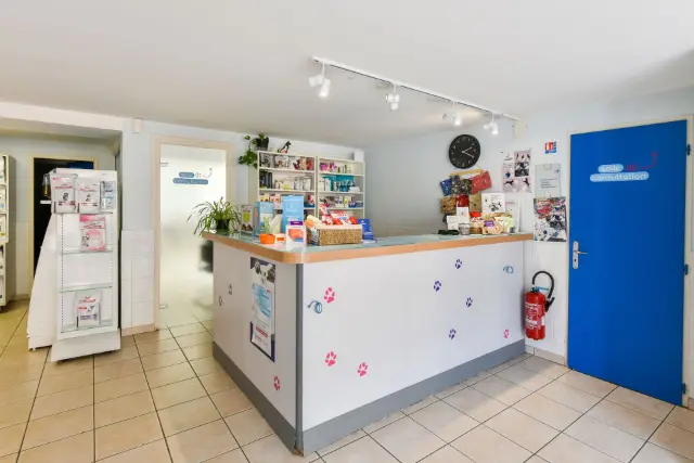 Clinique vétérinaire Argos Portet-sur-Garonne, photo 2